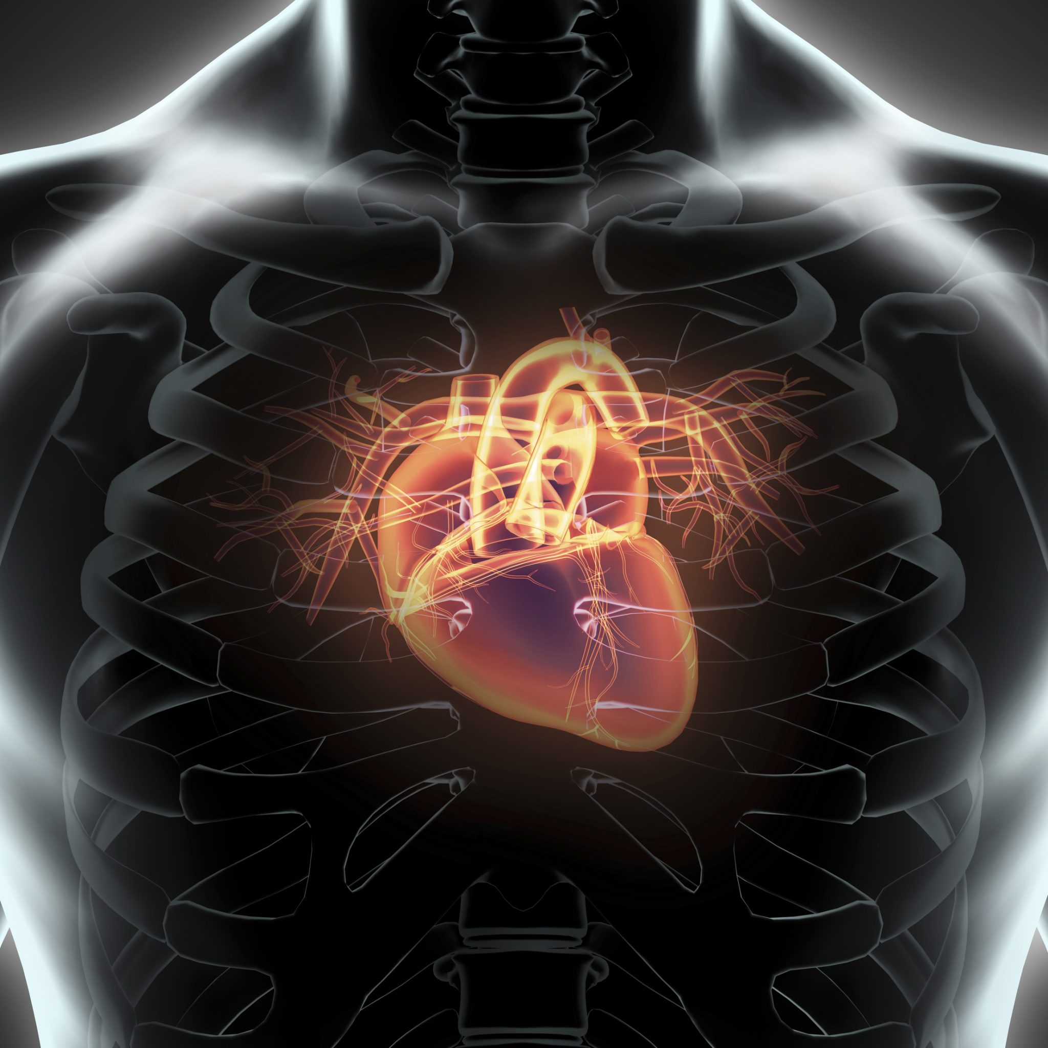 Electric mesh can give the heart an electromechanical hug