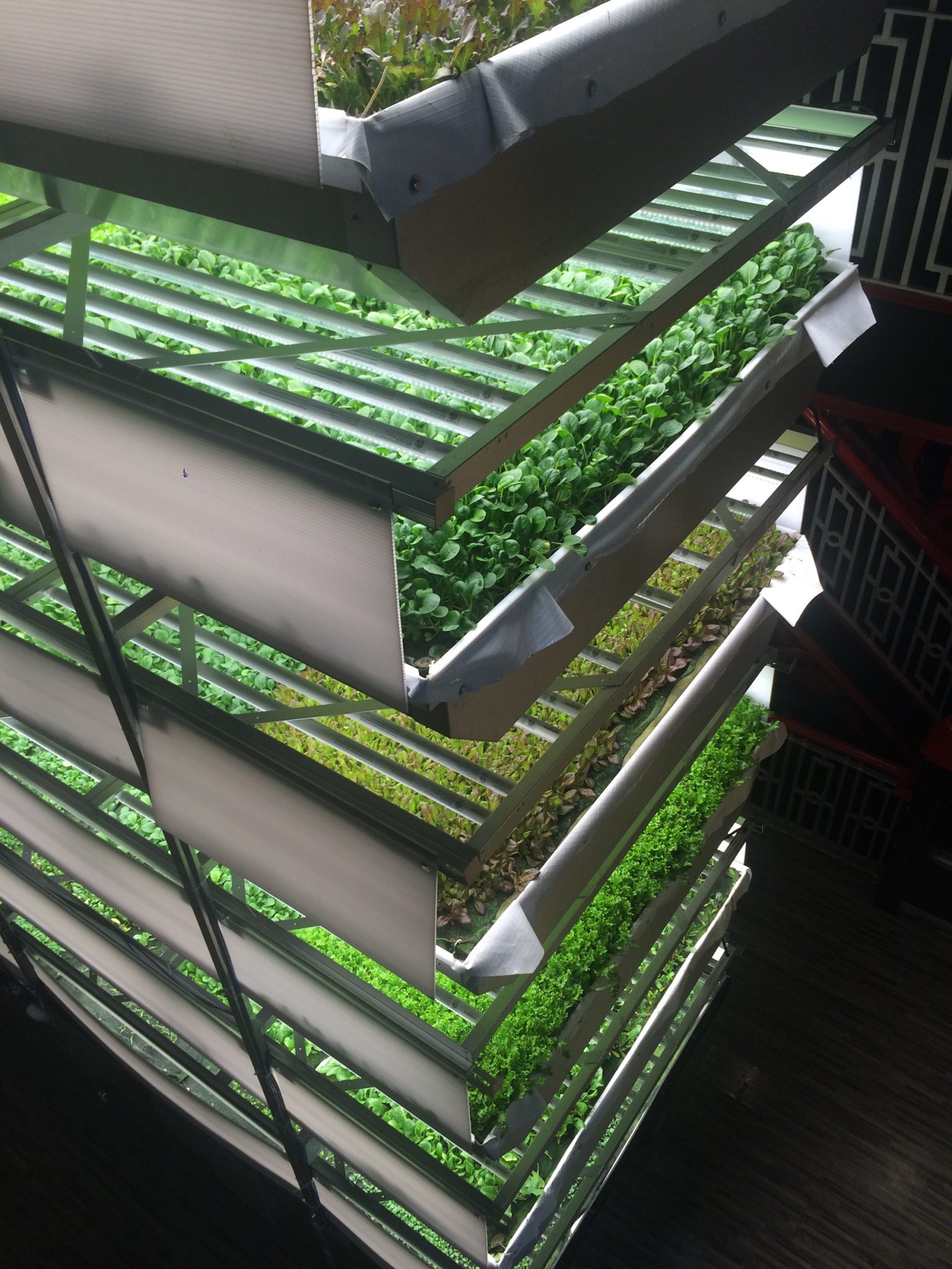 New Jersey to host the world’s largest vertical farm