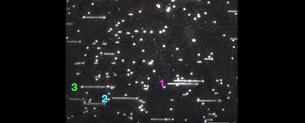 DNA Replication Filmed For The First Time