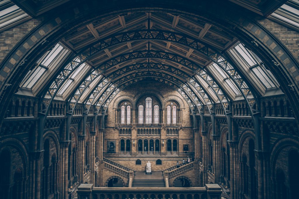Natural History Museum shares the inspiring stories of women in science and research
