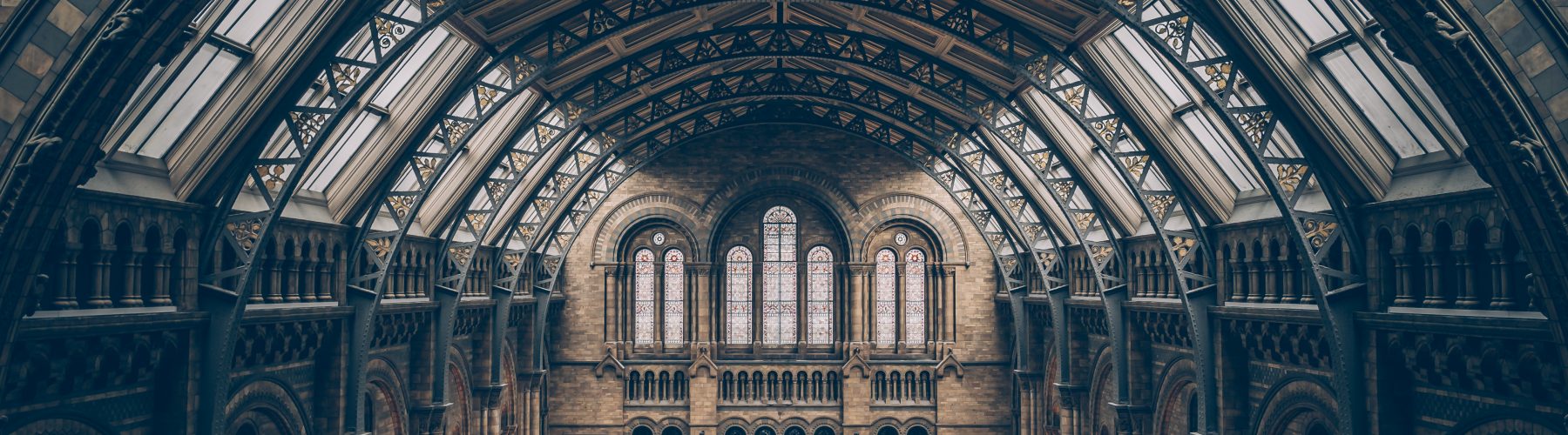Natural History Museum shares the inspiring stories of women in science and research