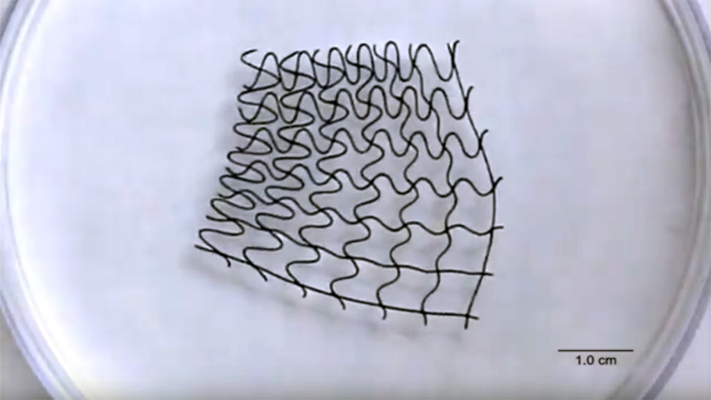 Meet the world first 3D-Printed Soft Mesh Robots