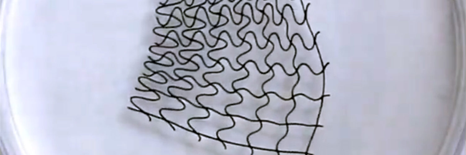 Meet the world first 3D-Printed Soft Mesh Robots