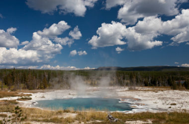engineering careers Meet the Bacteria That Eat Pollution and Breathe Electricity