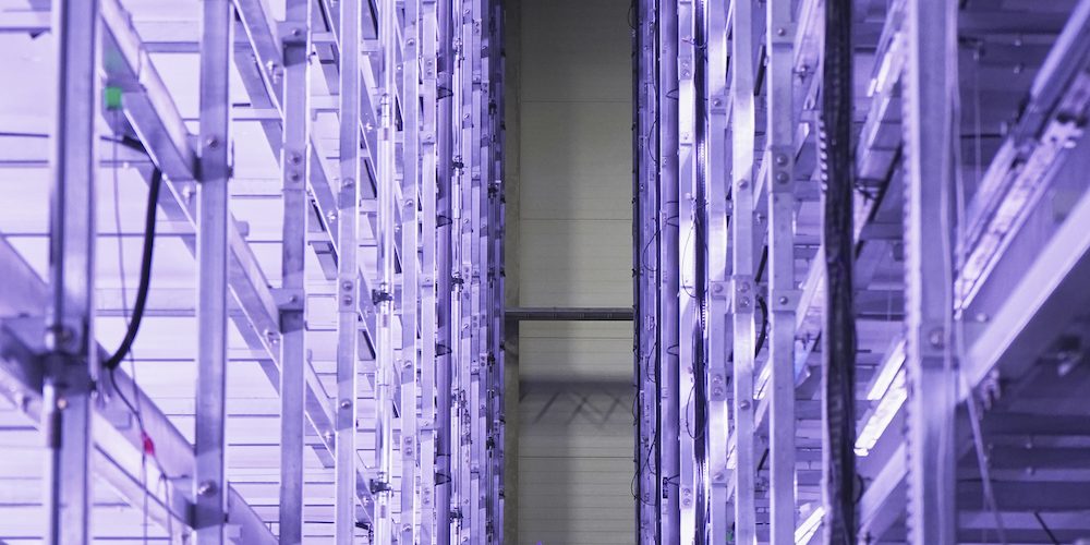 Meet the vertical farm in Denmark aiming to grow 1,000 tons of greens a year