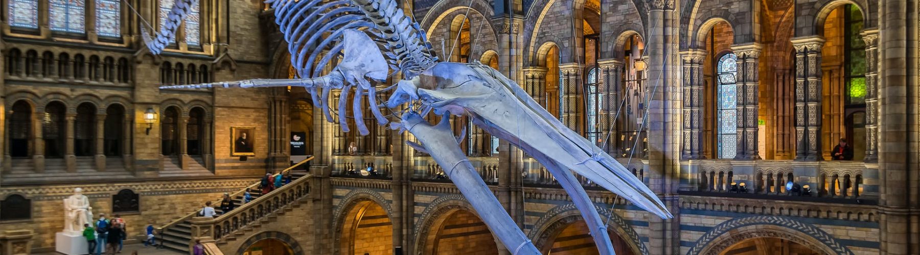 Mixed Reality makes “Night at the Museum” possible