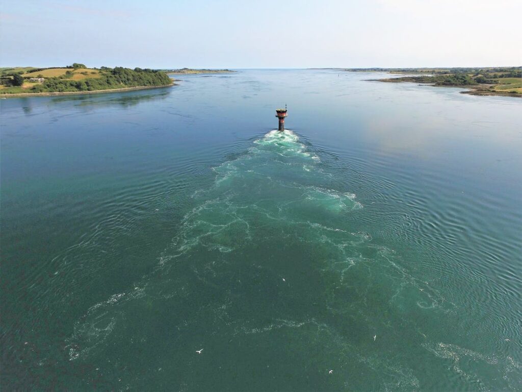 Meet the Engineers using drones to track the feeding habits of seabirds