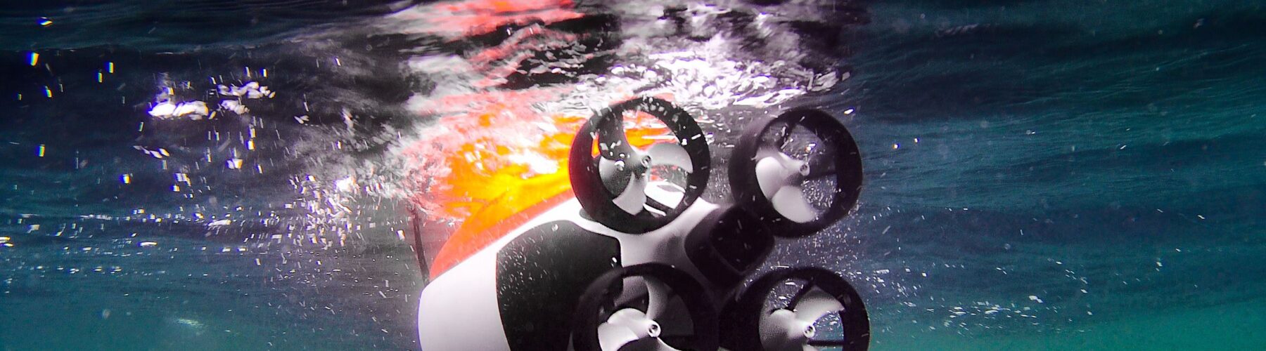 Quadroins – meet the artificial birds being used to study the Ocean