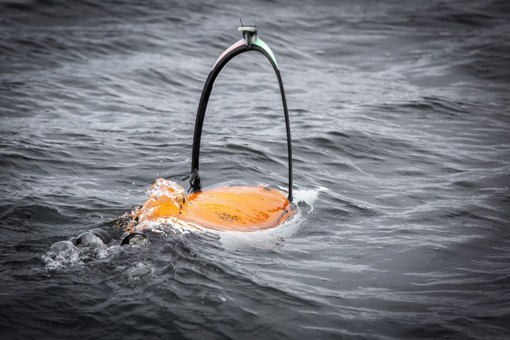 Quadroins - meet the artificial birds being used to study the Ocean Aerospace, Defence & Marine