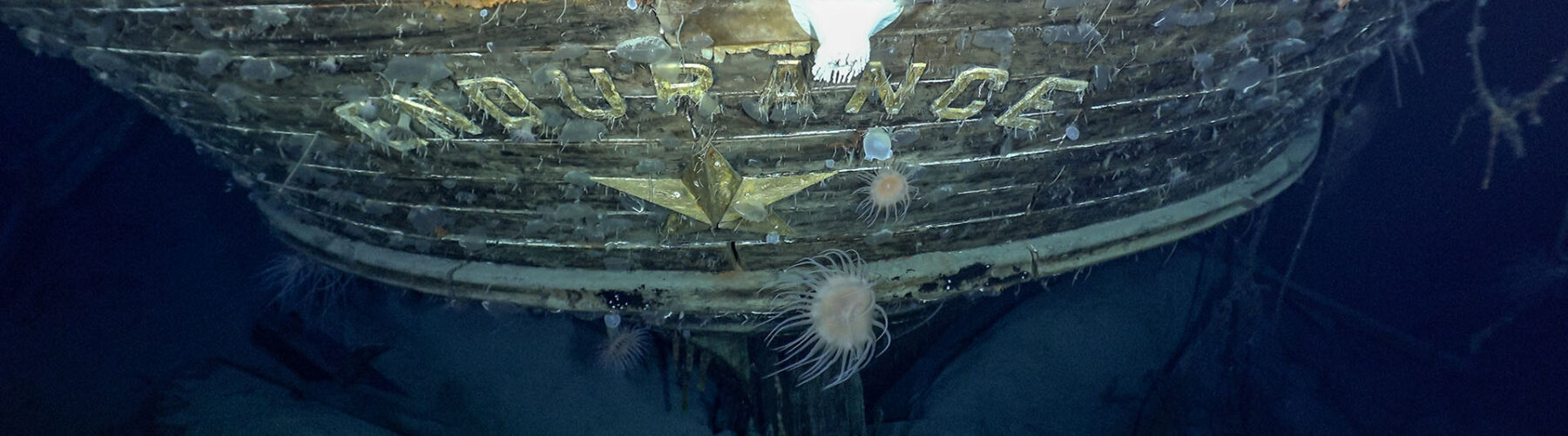 Wreck of Endurance Discovered