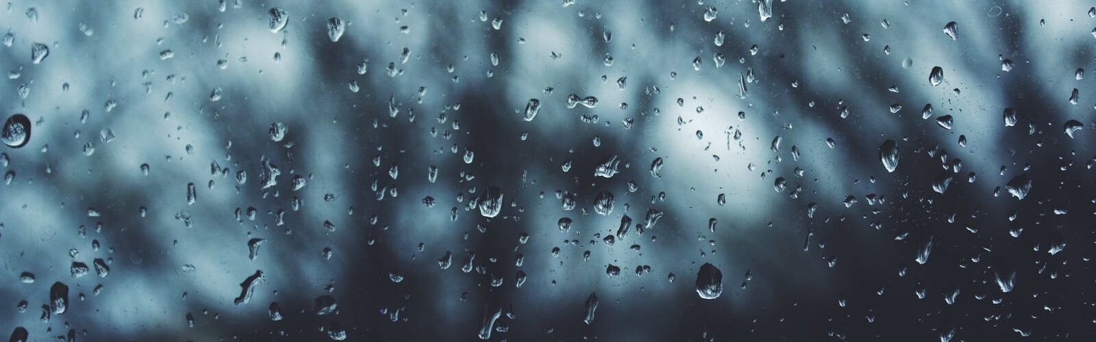 How a deluge of lockdown volunteers rescued UK's hidden weather history