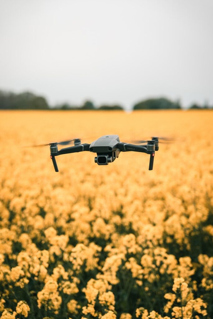 Using AI in agriculture could boost global food security-but we need to anticipate the risks