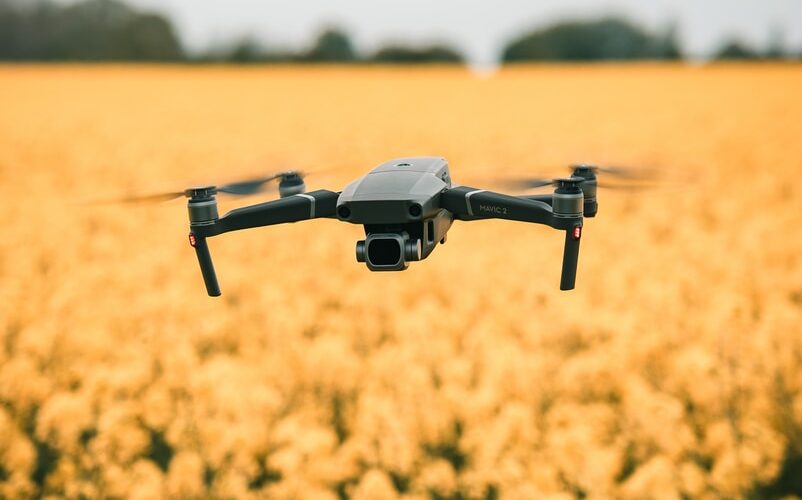 Using AI in agriculture could boost global food security-but we need to anticipate the risks