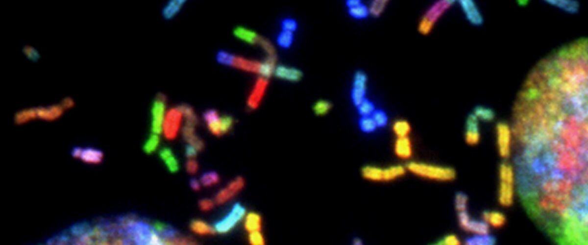 Complete Human Genome Sequenced for First Time