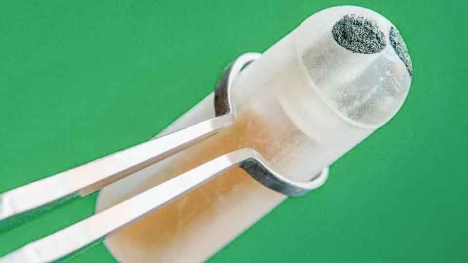 Pill-shaped biosensor keeps track of gut metabolites in real time Breakthroughs, Health