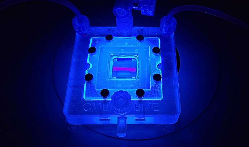 3D Bioprinting Collagen Scaffolds: Engineering Functional Vascularized Tissues Health