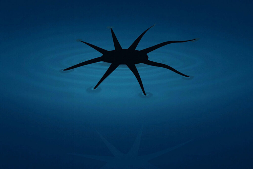 Engineers Create Soft Robots That Walk on Water Using HydroSpread Technique Automotive & Transport, Breakthroughs, Electronics & communications