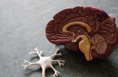 engineering careers Brain Computer Interface Implant Gets First Commercial Approval