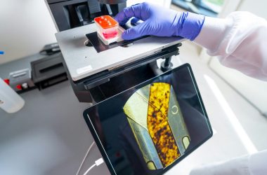 engineering careers Artemis II – Organ Chip 