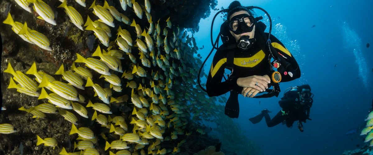 Underwater Diving Exoskeleton Cuts Oxygen Consumption by 40 Per Cent