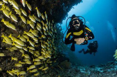 engineering careers Underwater Diving Exoskeleton Cuts Oxygen Consumption by 40 Per Cent