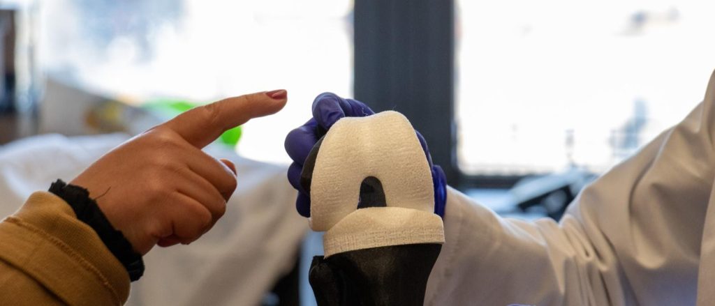 Living Knee Implant Enters Preclinical Testing at Columbia University