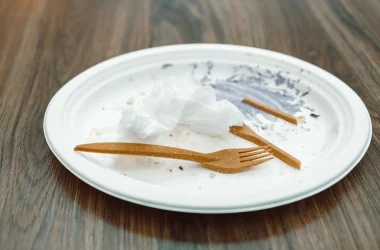 engineering careers Self-Destructing Living Plastic Degrades in Just Six Days