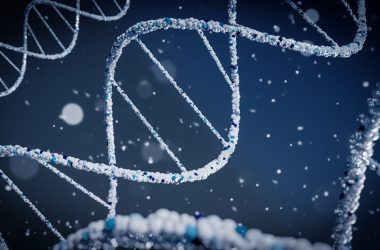 engineering careers Oxford Nanopore Gene Sequencing Wins MacRobert Award