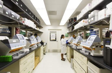 engineering careers Biodegradable Cancer Implant Targets Tumours Directly